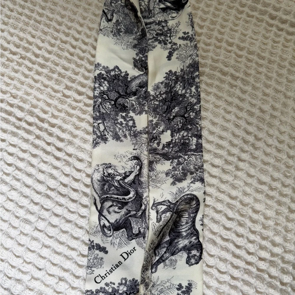 Dior Twilly Scarf